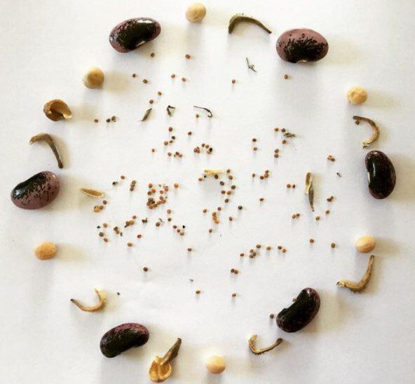 Seed share seed circle